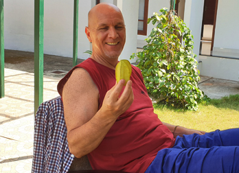 Organic fruits at kerala