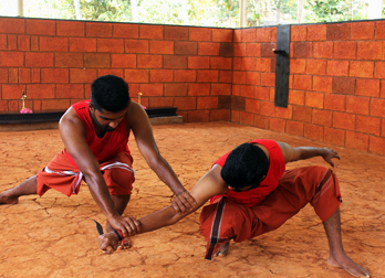 Sathru samhara Puja